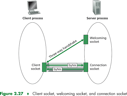 Building a Web Server via Golang