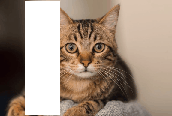 Implementing Random Erasing upon PostDam Dataset